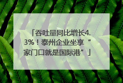 吞吐量同比增长4.3%！泰州企业坐享“家门口就是国际港”