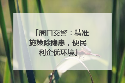周口交警：精准施策除隐患，便民利企优环境