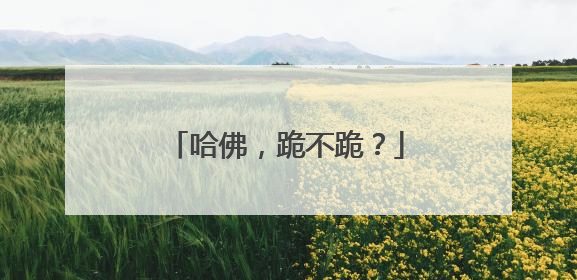 哈佛，跪不跪？