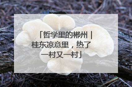 哲学里的郴州｜桂东凉意里，热了一村又一村