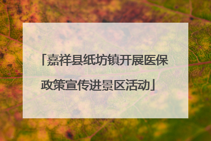 嘉祥县纸坊镇开展医保政策宣传进景区活动