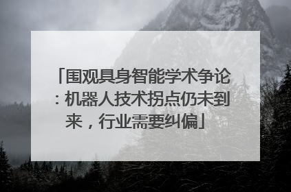 围观具身智能学术争论：机器人技术拐点仍未到来，行业需要纠偏