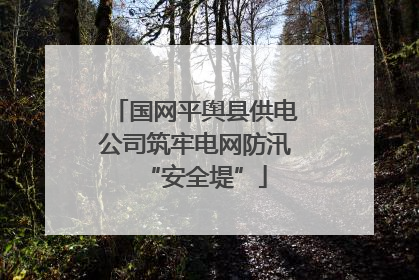 国网平舆县供电公司筑牢电网防汛“安全堤”