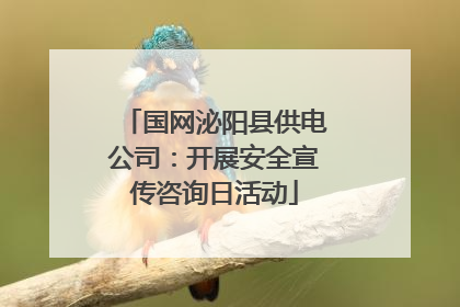 国网泌阳县供电公司：开展安全宣传咨询日活动