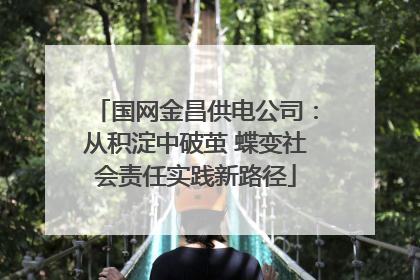 国网金昌供电公司：从积淀中破茧 蝶变社会责任实践新路径