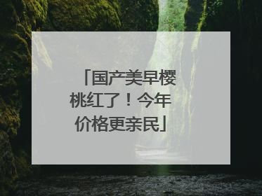 国产美早樱桃红了！今年价格更亲民