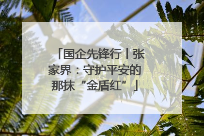 国企先锋行丨张家界：守护平安的那抹“金盾红”