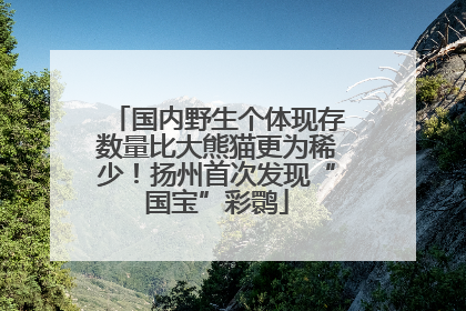 国内野生个体现存数量比大熊猫更为稀少！扬州首次发现“国宝”彩鹮