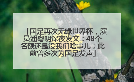 国足再次无缘世界杯，演员潘粤明深夜发文：48个名额还是没我们啥事儿；此前曾多次为国足发声