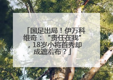 国足出局！伊万科维奇：“责任在我”，18岁小将首秀却成遮羞布？
