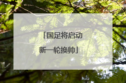 国足将启动新一轮换帅