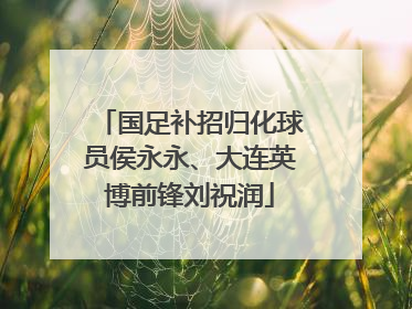 国足补招归化球员侯永永、大连英博前锋刘祝润