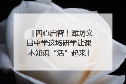 四心启智！潍坊文昌中学这场研学让课本知识“活”起来