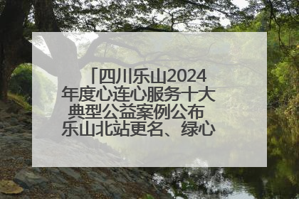 四川乐山2024年度心连心服务十大典型公益案例公布 乐山北站更名、绿心路井盖治理等上榜