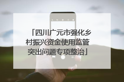 四川广元市强化乡村振兴资金使用监管突出问题专项整治