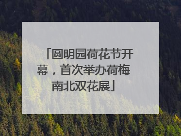 圆明园荷花节开幕，首次举办荷梅南北双花展