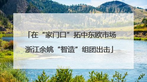在“家门口”拓中东欧市场 浙江余姚“智造”组团出击