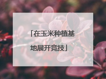 在玉米种植基地展开竞技