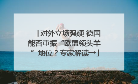 对外立场强硬 德国能否重振“欧盟领头羊”地位？专家解读→