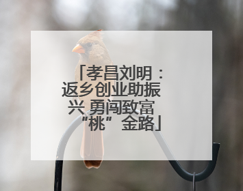 孝昌刘明：返乡创业助振兴 勇闯致富“桃”金路