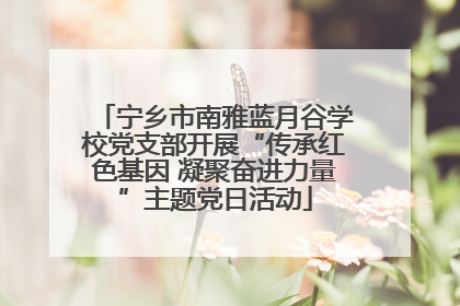 宁乡市南雅蓝月谷学校党支部开展“传承红色基因 凝聚奋进力量”主题党日活动
