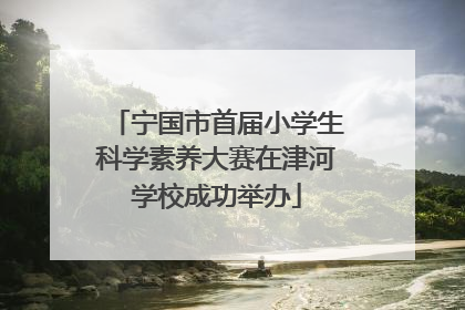 宁国市首届小学生科学素养大赛在津河学校成功举办