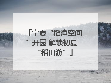 宁夏“稻渔空间”开园 解锁初夏“稻田游”