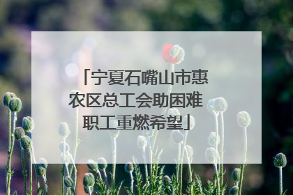 宁夏石嘴山市惠农区总工会助困难职工重燃希望