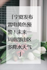 宁夏发布雷电黄色预警！未来一周南部山区多降水天气