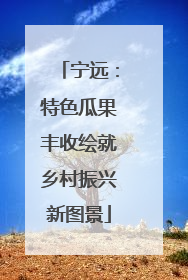 宁远：特色瓜果丰收绘就乡村振兴新图景