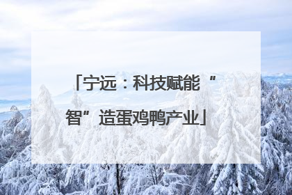 宁远：科技赋能“智”造蛋鸡鸭产业