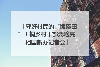 守好村民的“饭碗田”！桐乡村干部凭啥亮相国新办记者会