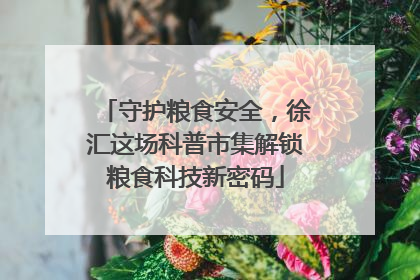 守护粮食安全，徐汇这场科普市集解锁粮食科技新密码