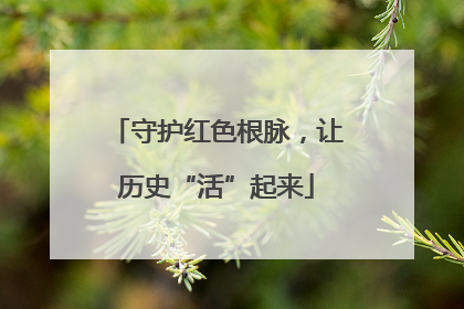 守护红色根脉，让历史“活”起来