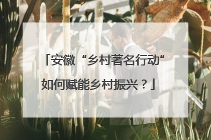 安徽“乡村著名行动”如何赋能乡村振兴？