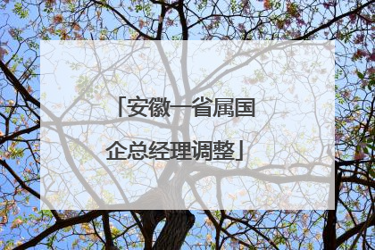 安徽一省属国企总经理调整