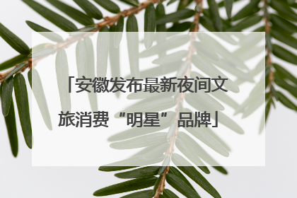 安徽发布最新夜间文旅消费“明星”品牌