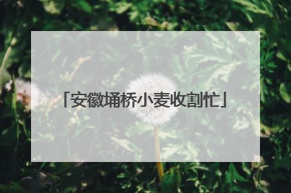 安徽埇桥小麦收割忙