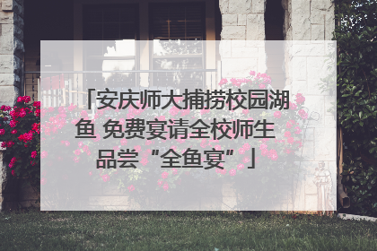 安庆师大捕捞校园湖鱼 免费宴请全校师生品尝“全鱼宴”