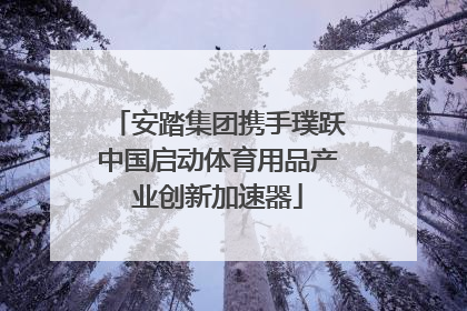 安踏集团携手璞跃中国启动体育用品产业创新加速器
