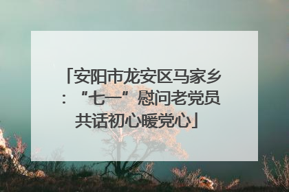 安阳市龙安区马家乡：“七一”慰问老党员 共话初心暖党心