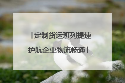 定制货运班列提速 护航企业物流畅通