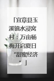 宜章县玉溪镇水浸窝村：万亩杨梅开启夏日“甜蜜经济”