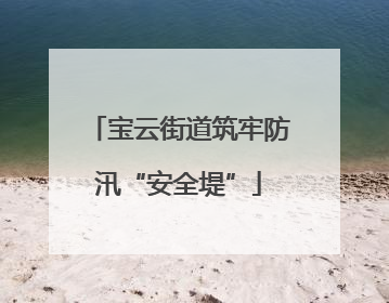 宝云街道筑牢防汛“安全堤”