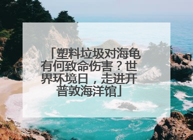 塑料垃圾对海龟有何致命伤害？世界环境日，走进开普敦海洋馆