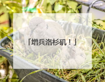 增兵洛杉矶！
