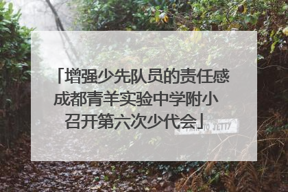 增强少先队员的责任感 成都青羊实验中学附小召开第六次少代会