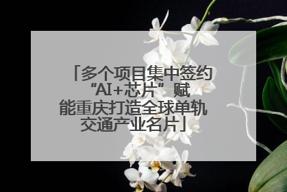 多个项目集中签约 “AI+芯片”赋能重庆打造全球单轨交通产业名片
