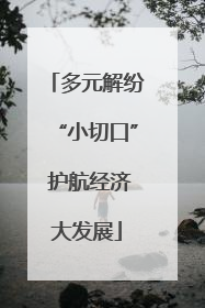 多元解纷“小切口” 护航经济大发展