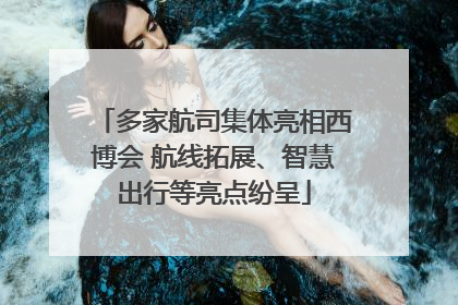 多家航司集体亮相西博会 航线拓展、智慧出行等亮点纷呈